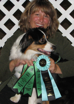 Wicca had a great agility weekend